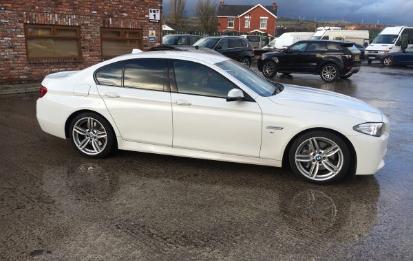 BMW 5 Series reverse camera install.